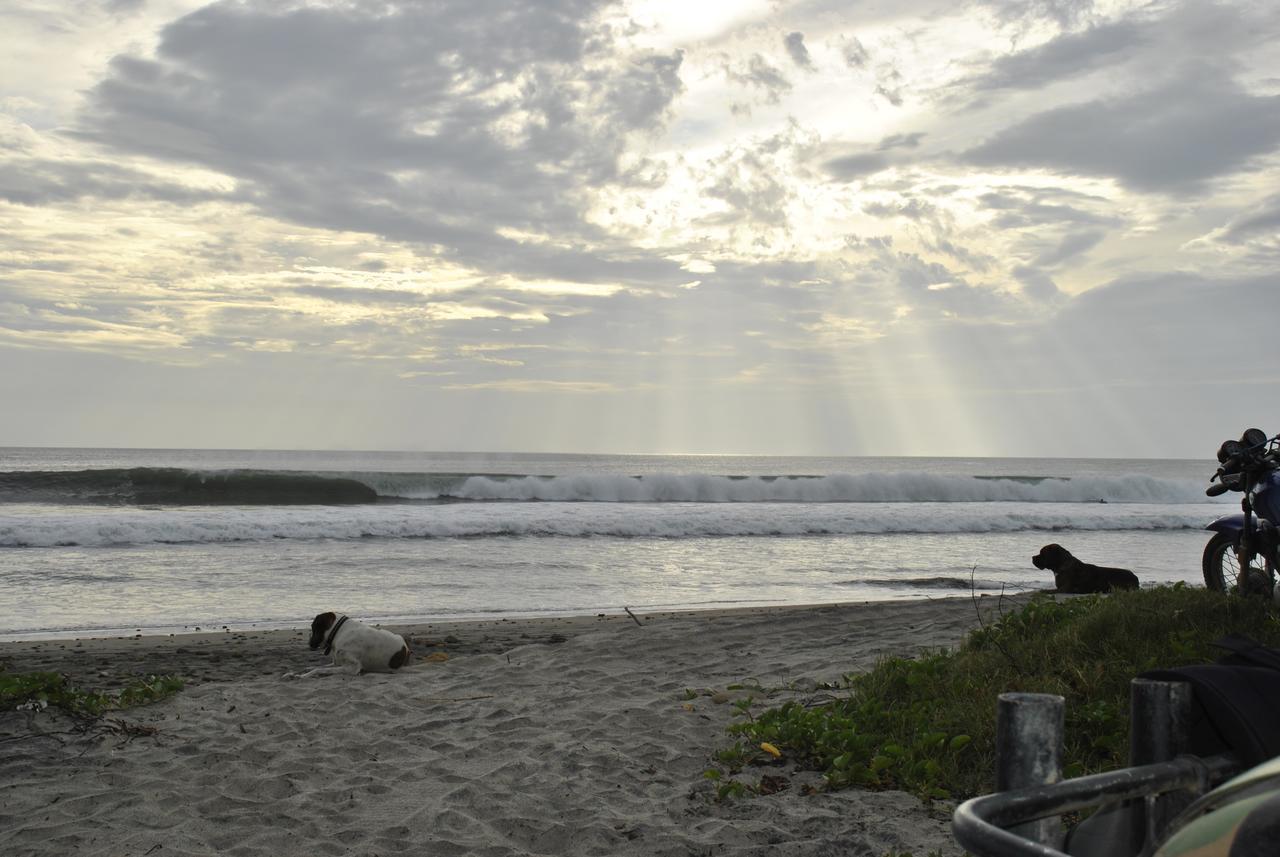 Surf Sanctuary Hotel El Limón Eksteriør billede